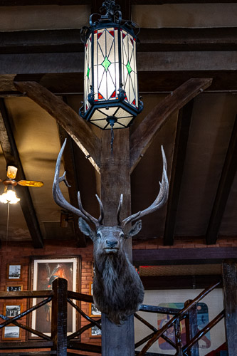 HJRW_20230626_NZ8_00782.jpg HJRW_20230626_NZ8_00782.jpg