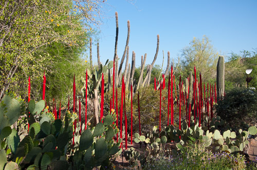 DSC_2213.jpg DSC_2213.jpg