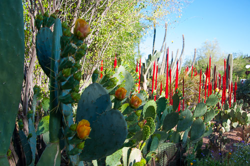 DSC_2215.jpg DSC_2215.jpg