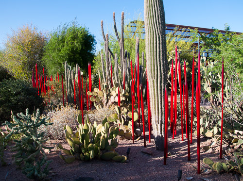 DSC_2217.jpg DSC_2217.jpg