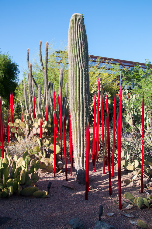 DSC_2218.jpg DSC_2218.jpg