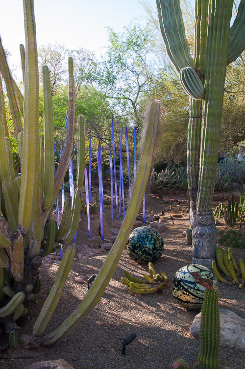 DSC_2232.jpg DSC_2232.jpg