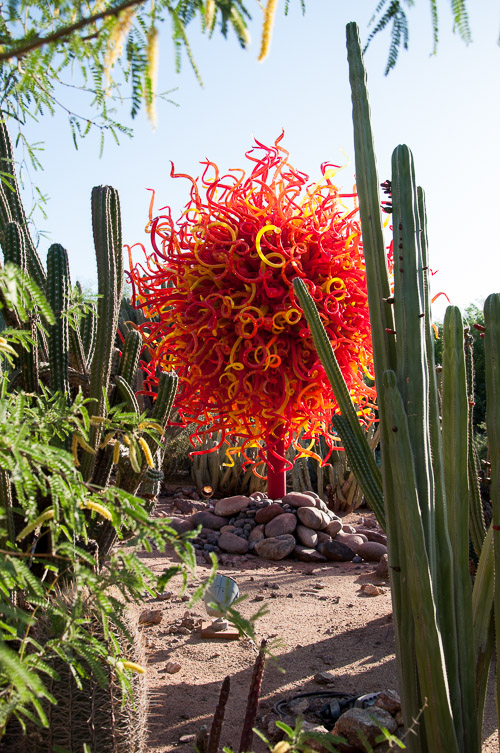 DSC_2234.jpg DSC_2234.jpg