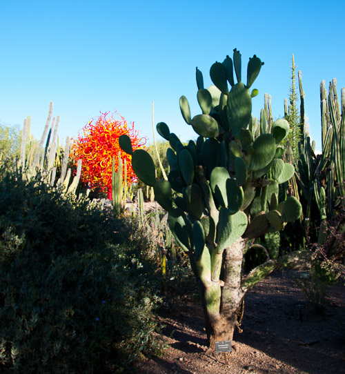 DSC_2237.jpg DSC_2237.jpg