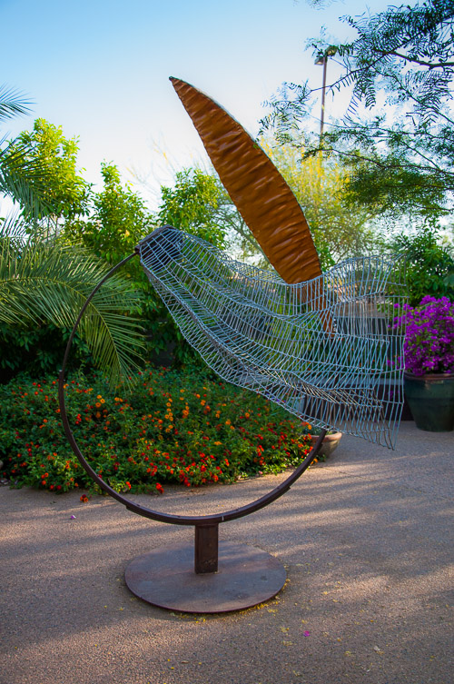 DSC_2259.jpg DSC_2259.jpg