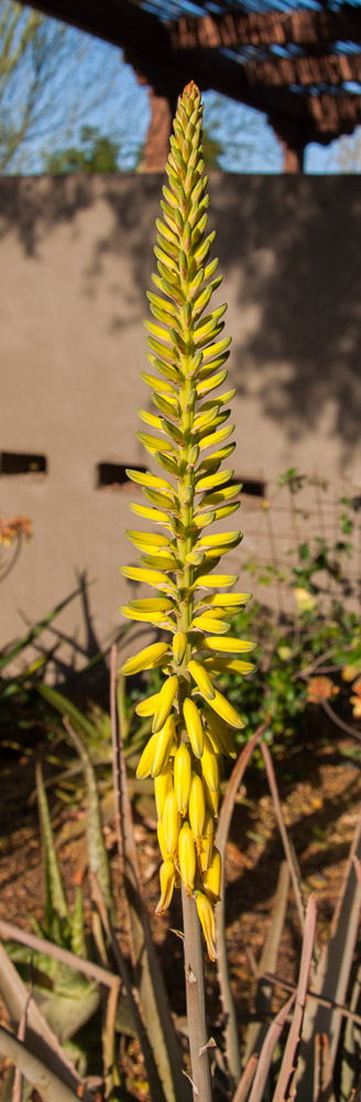 DSC_2267.jpg DSC_2267.jpg