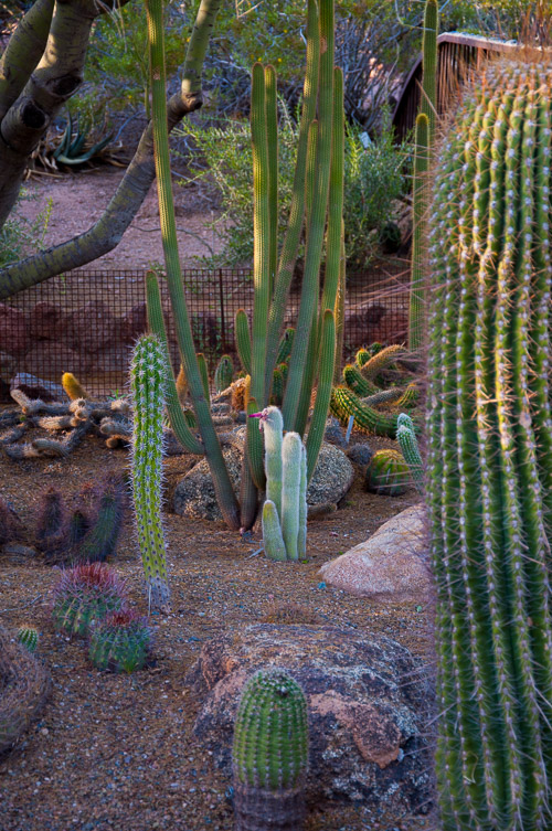 DSC_2272.jpg DSC_2272.jpg