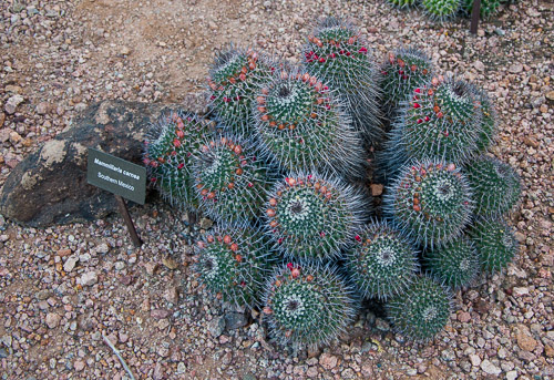 DSC_2282.jpg DSC_2282.jpg