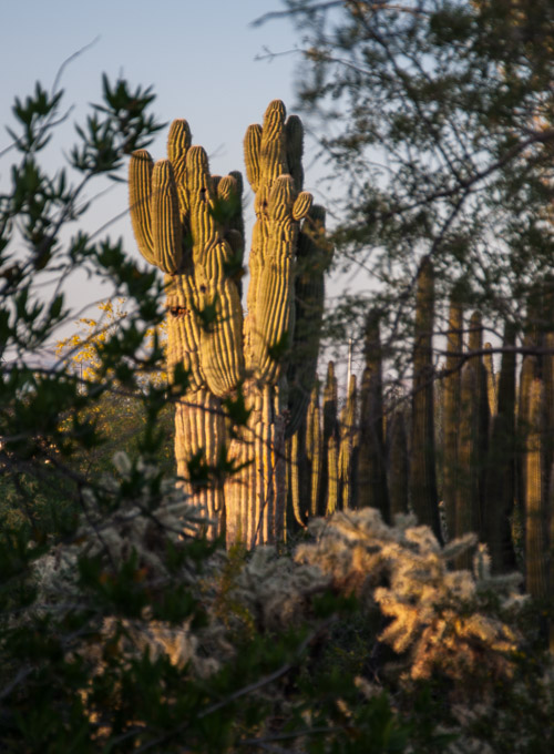 DSC_2309.jpg DSC_2309.jpg