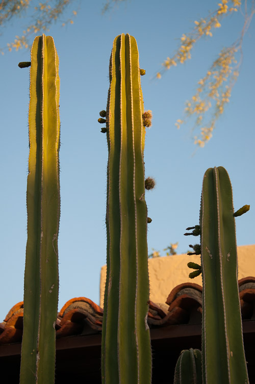 DSC_2312.jpg DSC_2312.jpg