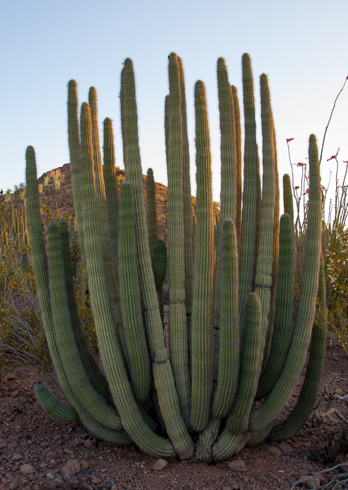 DSC_2320.jpg DSC_2320.jpg