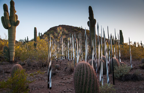 DSC_2331.jpg DSC_2331.jpg