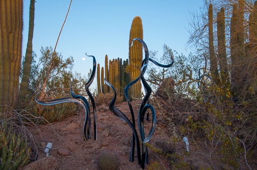 DSC_2344.jpg DSC_2344.jpg