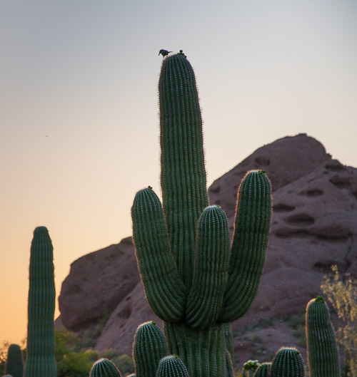 DSC_2348.jpg DSC_2348.jpg