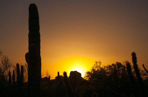 DSC_2350.jpg DSC_2350.jpg