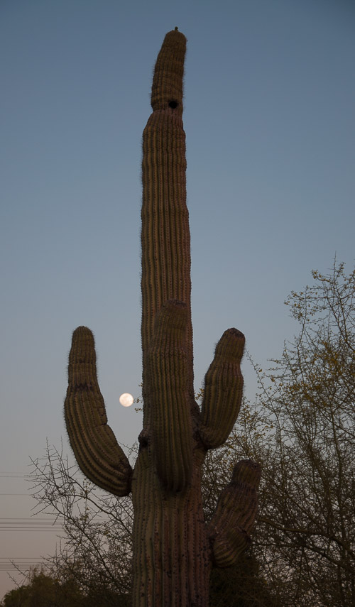 DSC_2375.jpg DSC_2375.jpg