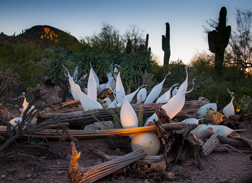 DSC_2381.jpg DSC_2381.jpg