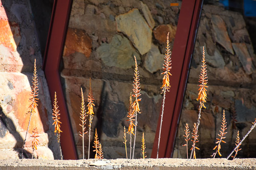 HJRW_20180205_DSC7949-2.jpg HJRW_20180205_DSC7949-2.jpg