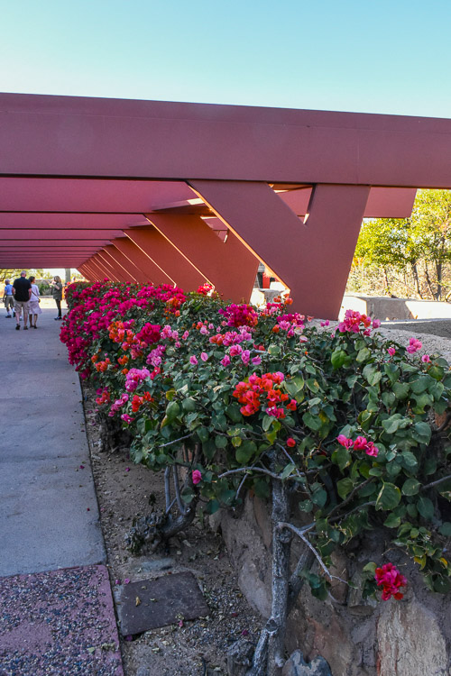 HJRW_20180205_DSC7979-2.jpg HJRW_20180205_DSC7979-2.jpg